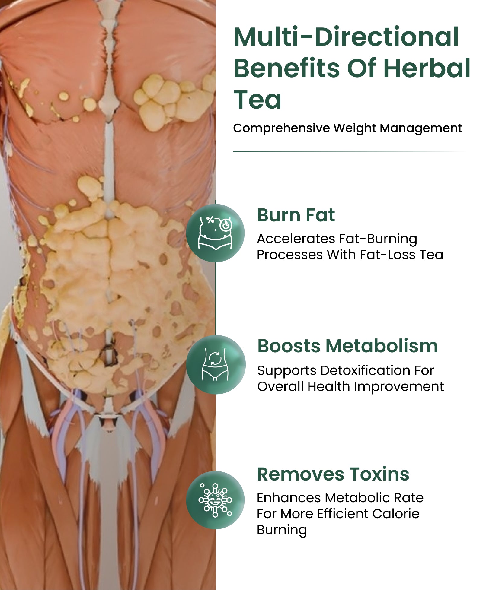 Healofy Naturals Slimming Tea | Supports Weight Loss in 28 Days with Natural Ingredients