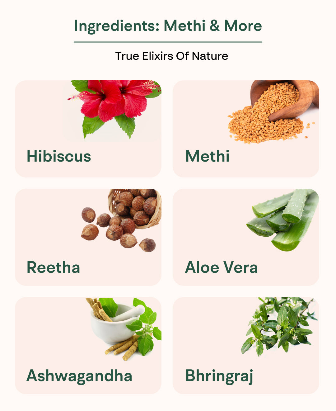 Healofy Naturals Methi Seed Hair Care Kit