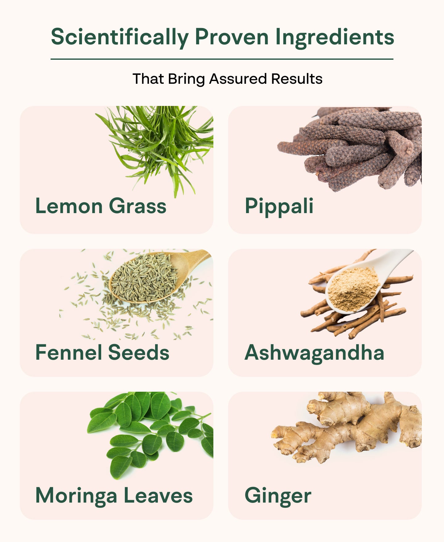 Healofy Naturals Slimming Tea