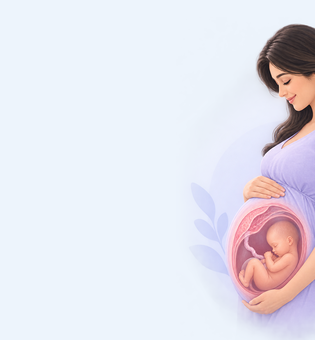 Pregnant woman with baby in the womb illustration